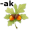 oak5