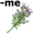 thyme5