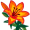 lily5