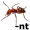 ant5