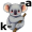 koala5