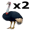 emus5