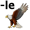 eagle5
