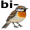 bird5