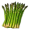 asparagus5