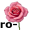 rose5