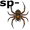 spider5