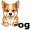 dog2