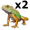 iguanas5
