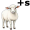 ewe5