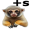 marmoset5