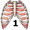 rib5