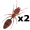 ants5