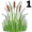 reed5
