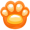 paw5