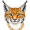 lynx5
