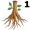 root5