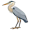 heron5