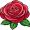 rose5