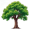 teak5