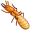 termite5
