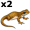 newt5