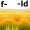 field5