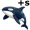orcas5