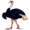 ostrich5