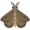 moth5