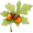 oak5