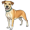 dog5