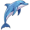 dolphin5