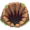 pit5