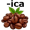 arabica5