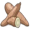 cassava5