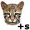 ocelot5