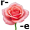 rose5