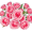 roses2