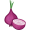 onion5