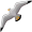 albatross5