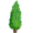 cypress5