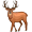 elk5