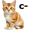 cat5