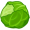 cabbage5
