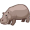 hippo5