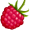 raspberry5