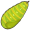 larva5