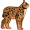 lynx5