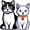 cats5